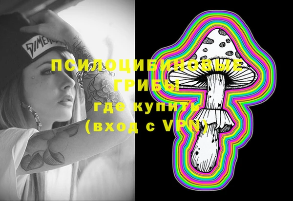 сатива Володарск