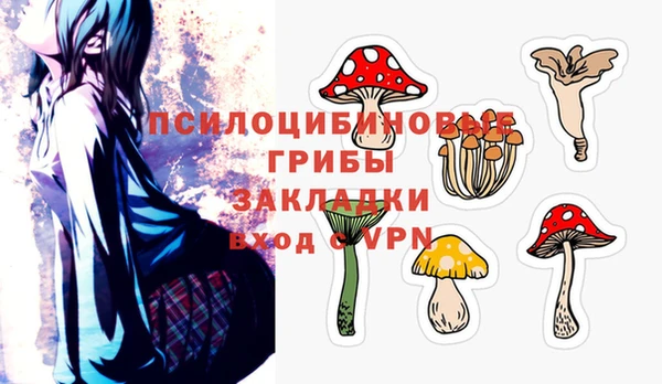 сатива Володарск