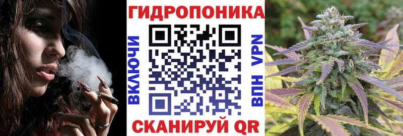 Бошки Шишки планчик Арзамас